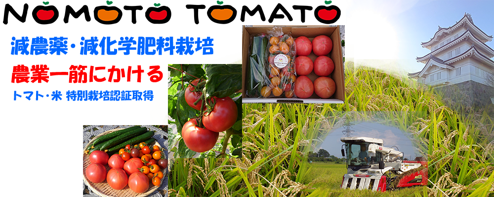 野本ファーム